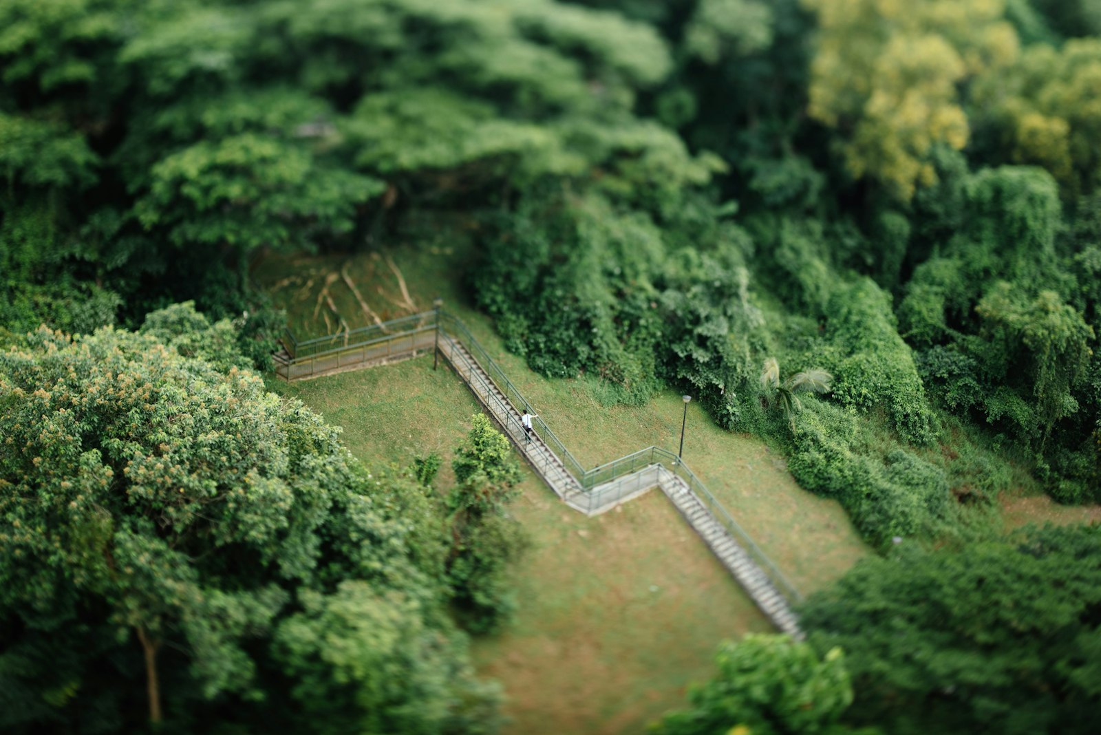 Nikon D750 + Nikon PC-E Nikkor 45mm F2.8D ED Tilt-Shift sample photo. Aerial photo of a photography