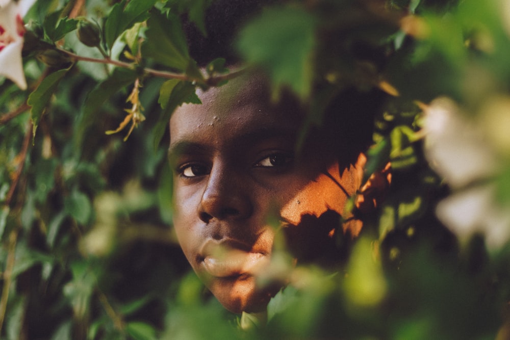 man surrounded by green leaf plants during daytime