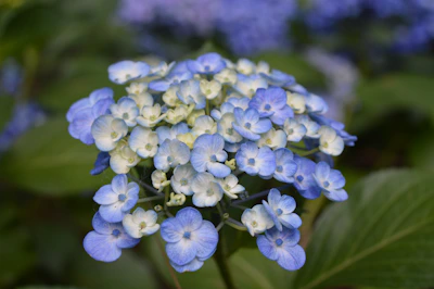 Close-up of a floral wedding centerpiece with soft blue and white tones, matching the Luzara palette.