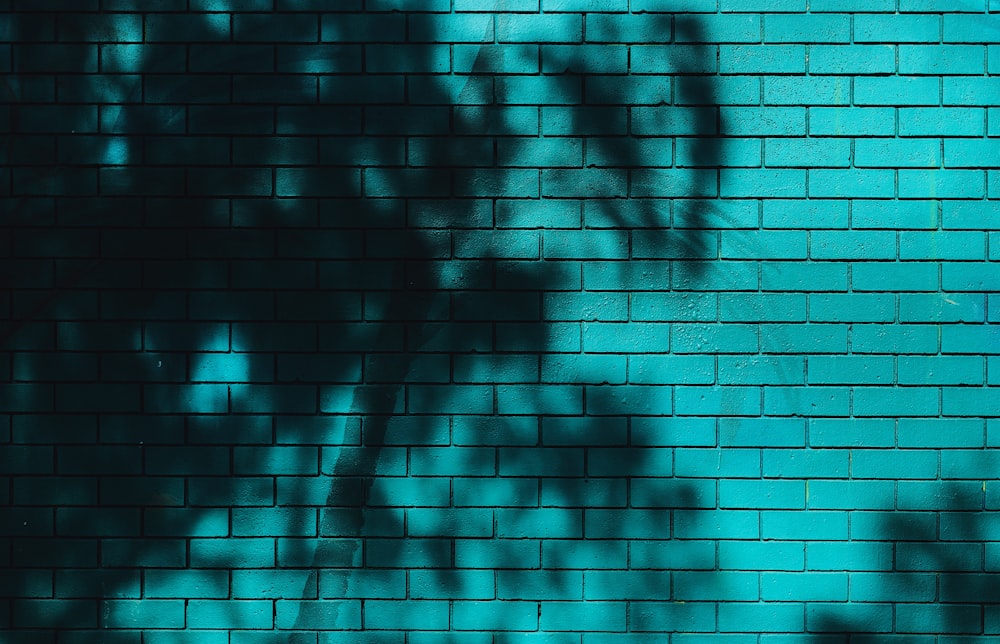 a blue brick wall with a shadow of a tree on it