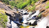 A scenic view of a stream where students are learning.