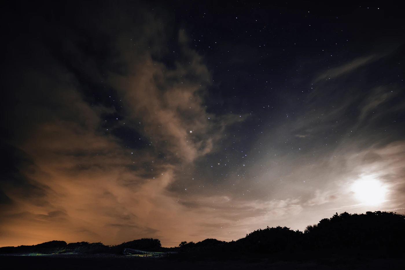 A bright moon and scattered stars above dark coastal vegetation