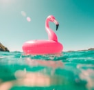 pink flamingo swim ring on body of water in summer