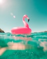 pink flamingo swim ring on body of water in summer