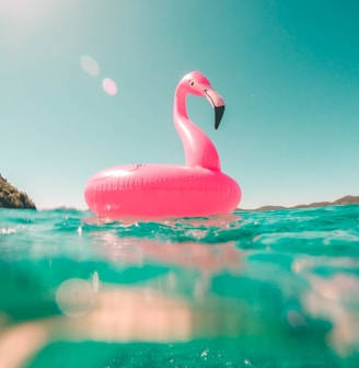 pink flamingo swim ring on body of water in summer