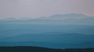 mountains covered in fog