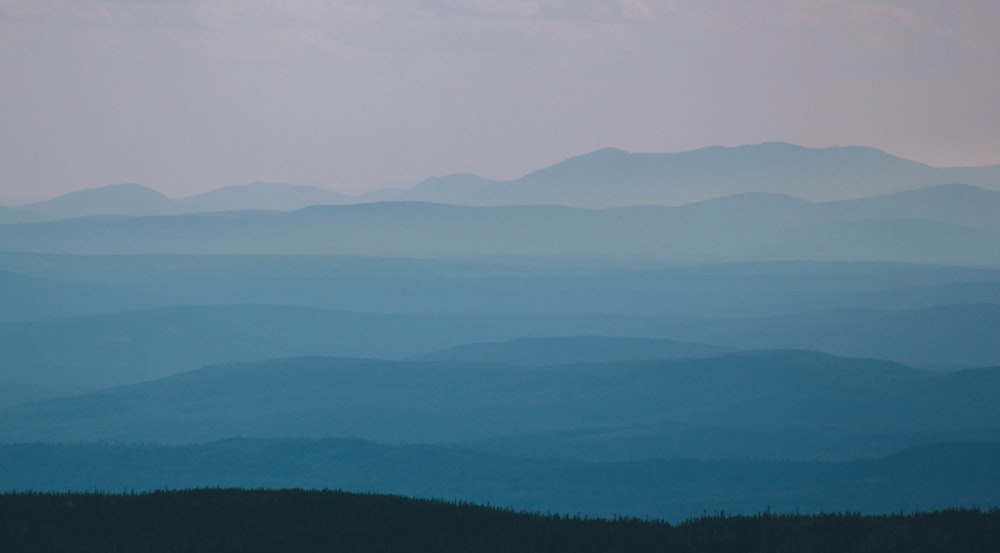 mountains covered in fog