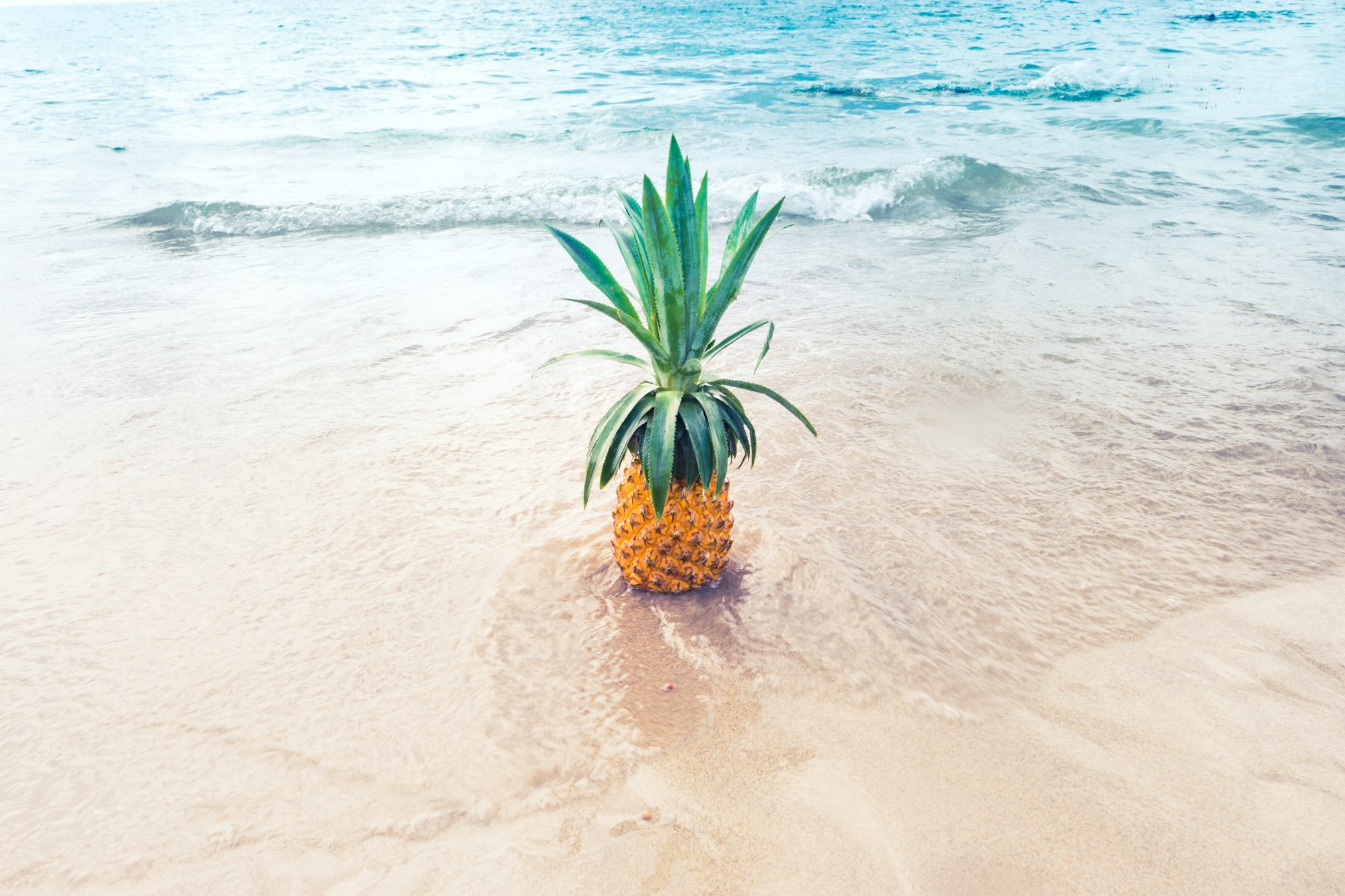 Happy Pineapple