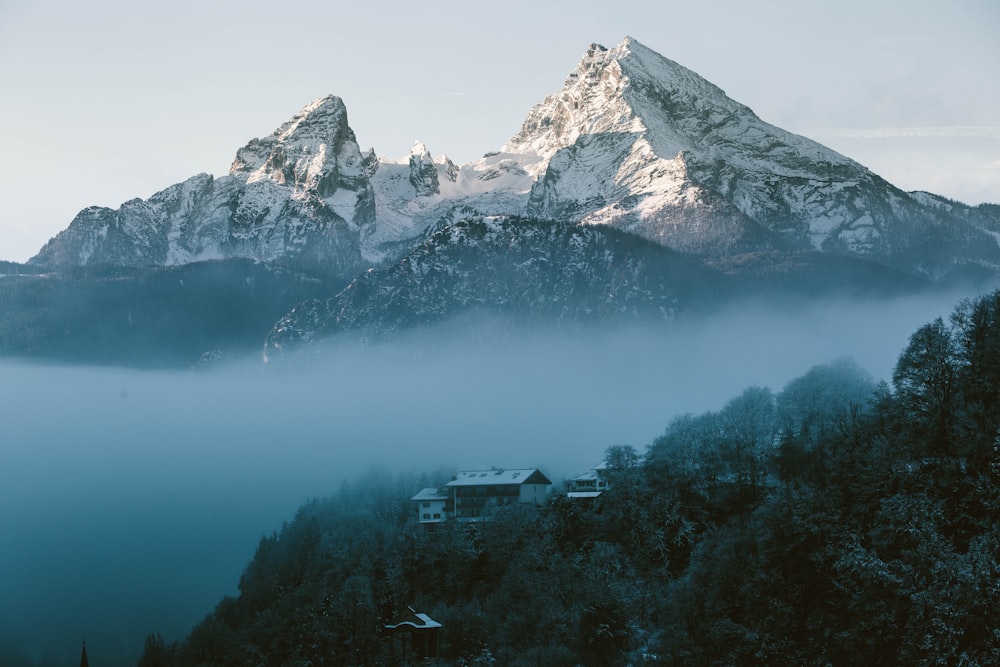 house on trees covered mountain