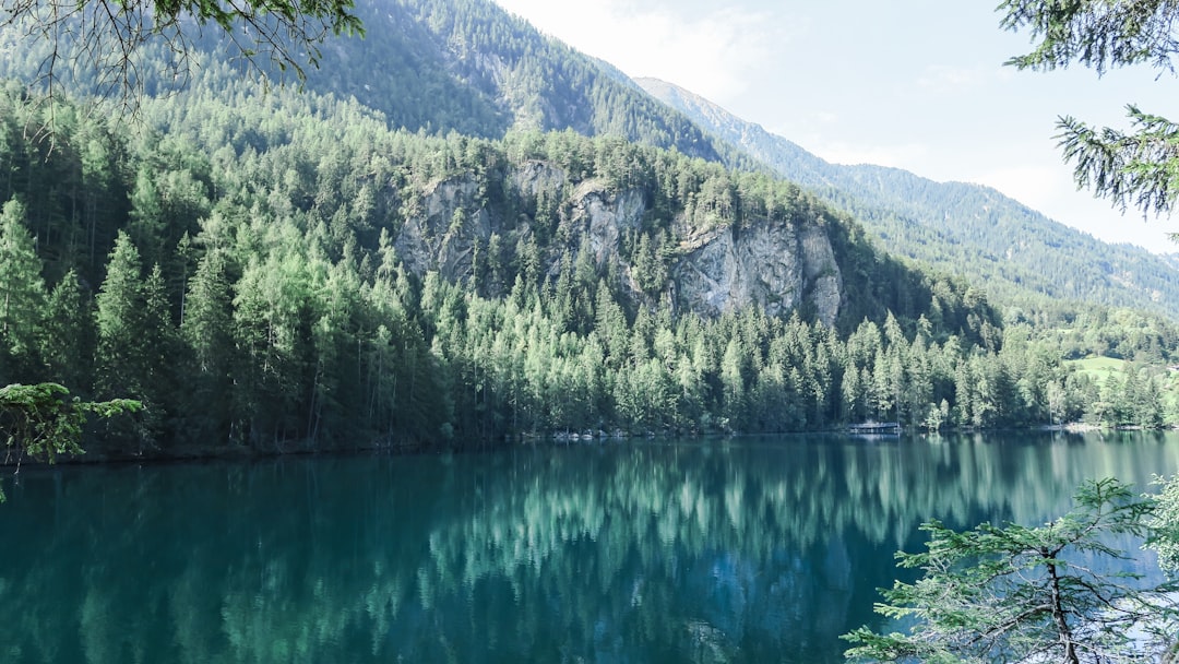 green pine trees near body of water with distance to mountain