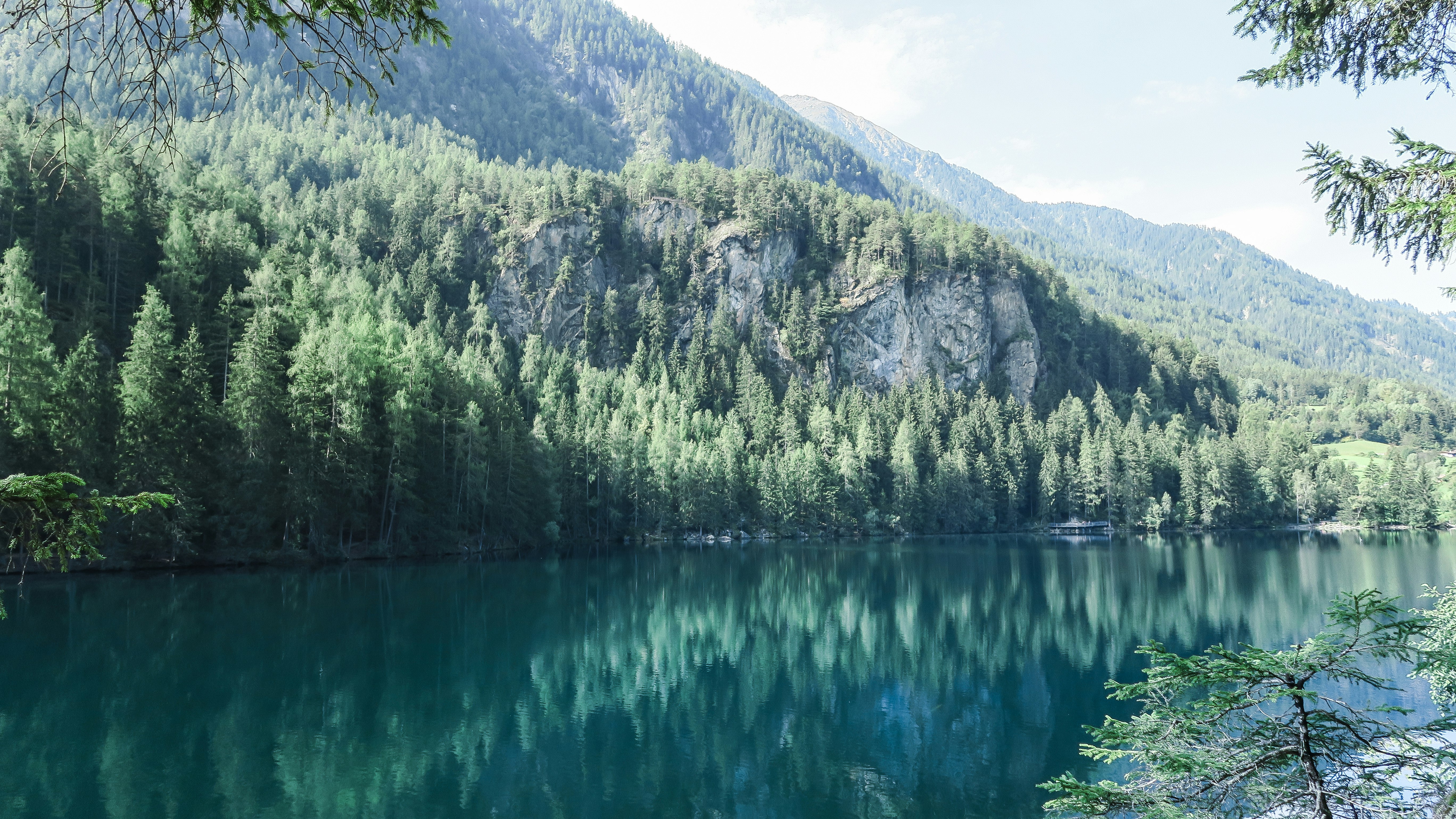 green pine trees near body of water with distance to mountain