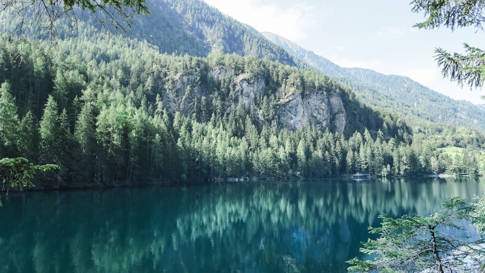 green pine trees near body of water with distance to mountain