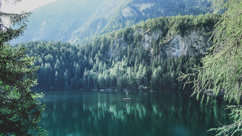 photo of calm body of water surrounded by trees