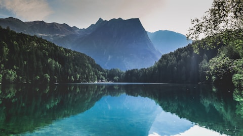 body of water near trees