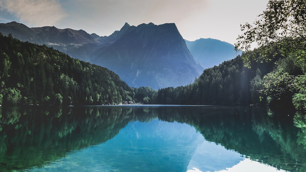 specchio d'acqua vicino agli alberi