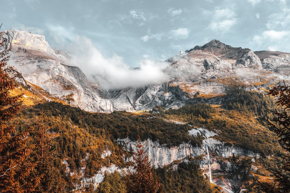 cordillera y bosque durante el día