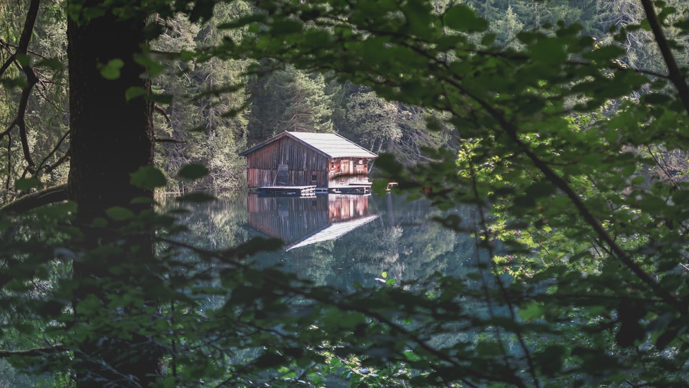 brown wooden house on river