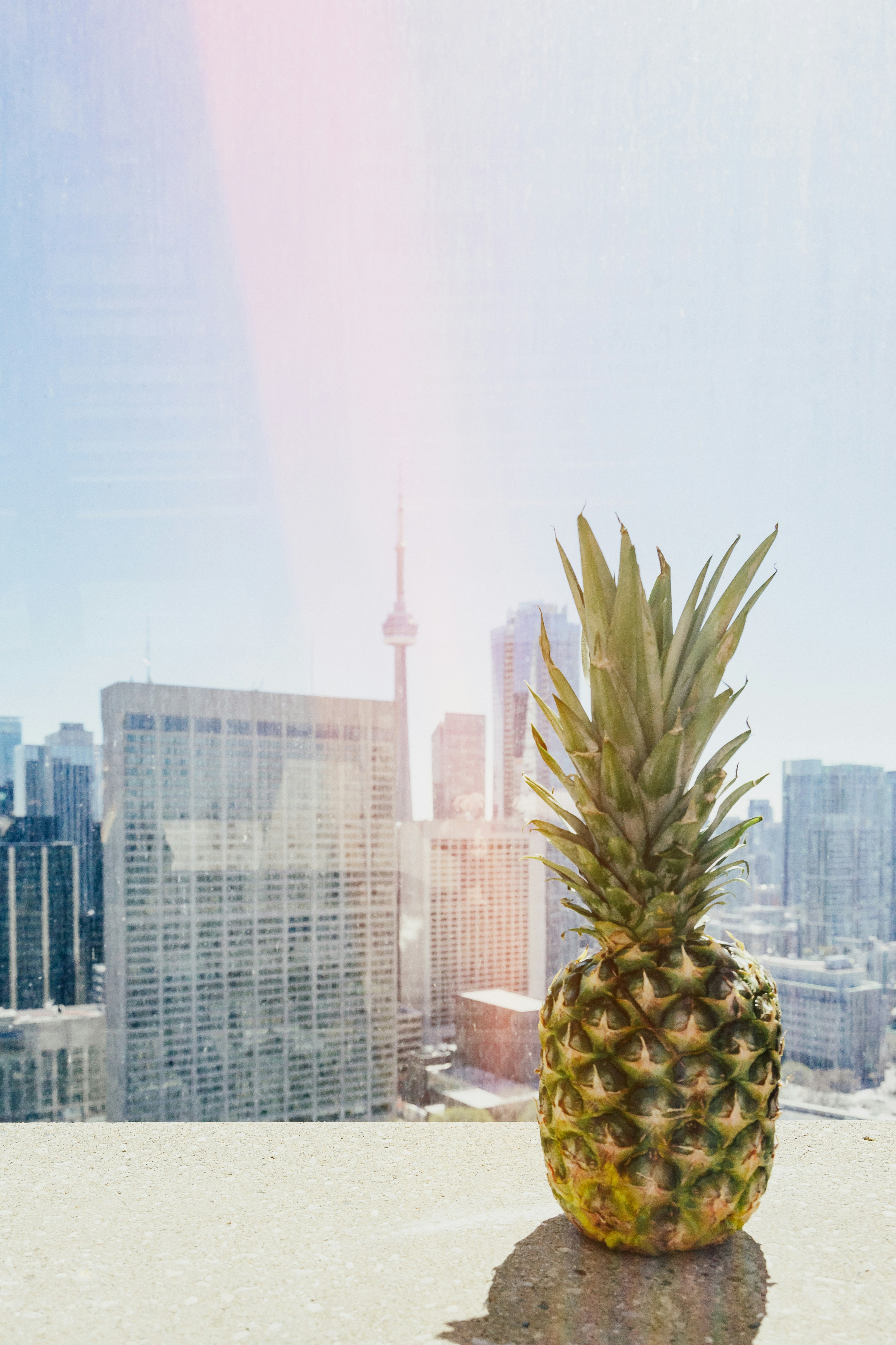 pineapple on roof