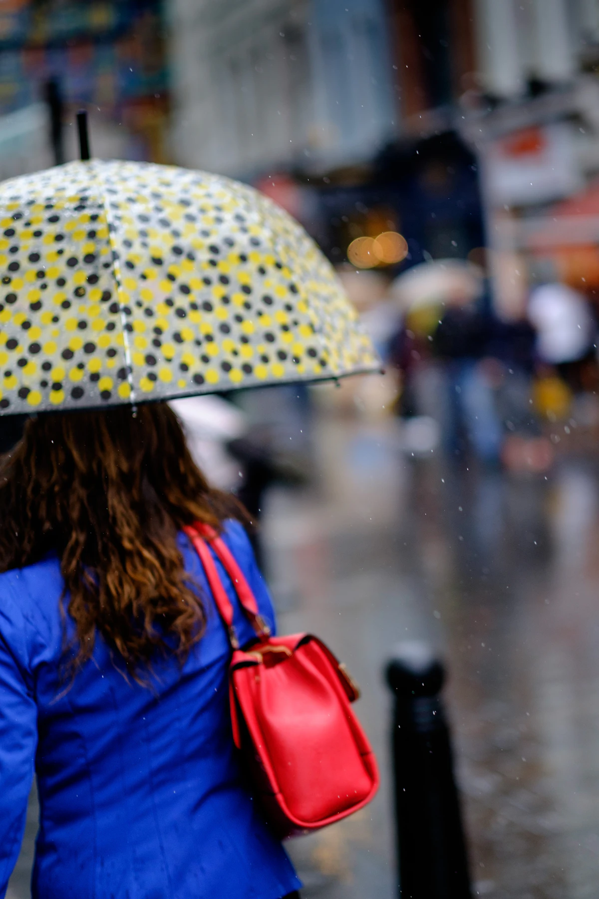 Woman carrying a handbag under an umbrella on a rainy day