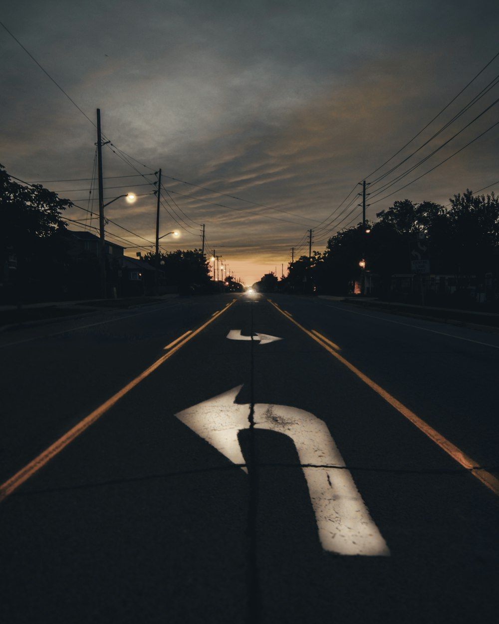 highway near trees during golden hour