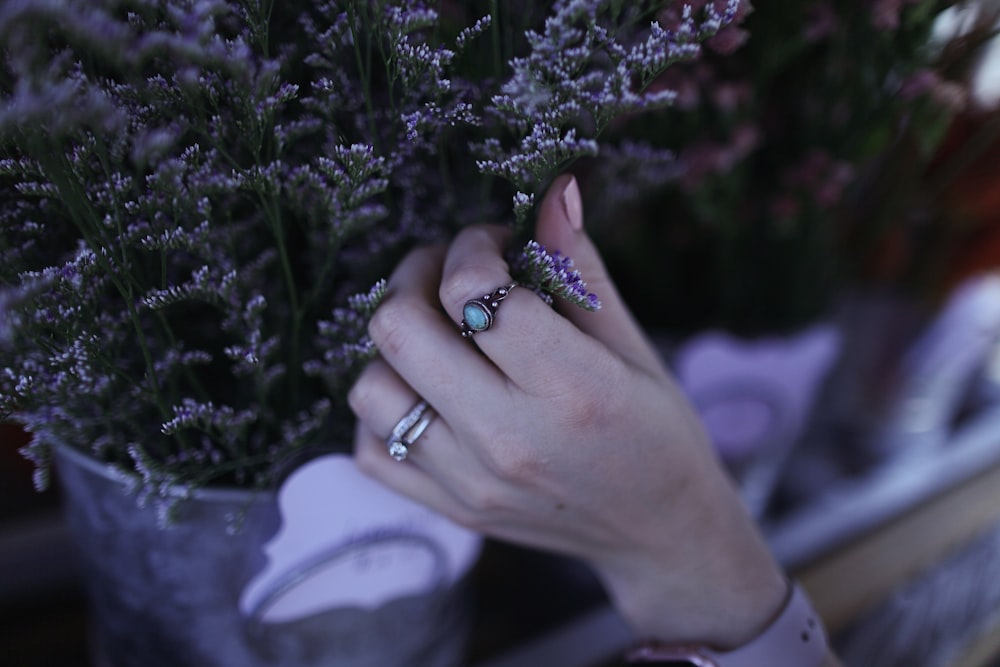 person holding green leaf plant