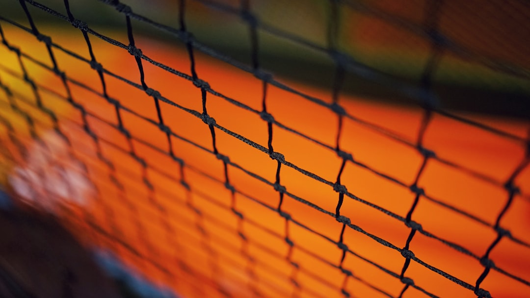 tilt-shift lens photo of mesh net