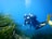 Man diving near aquatic plants in a calm lagoon