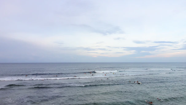 Surfers and stand up paddleboarders connecting with the ocean under a bright sky.