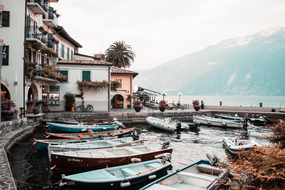 boats on body of water near houses