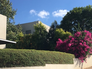 A vibrant photo of a modern Nigerian house surrounded by lush greenery.