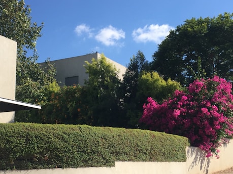 A vibrant photo of a modern Nigerian house surrounded by lush greenery.