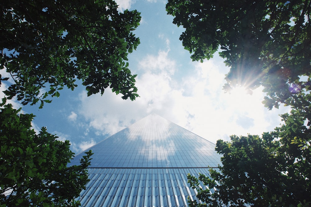 Foto de vista de verme do edifício azul durante o dia