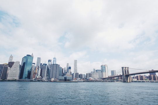 New York City view during daytime in Brooklyn Bridge Park United States