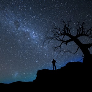 silhouette of person standing beside bare tree under stary sky