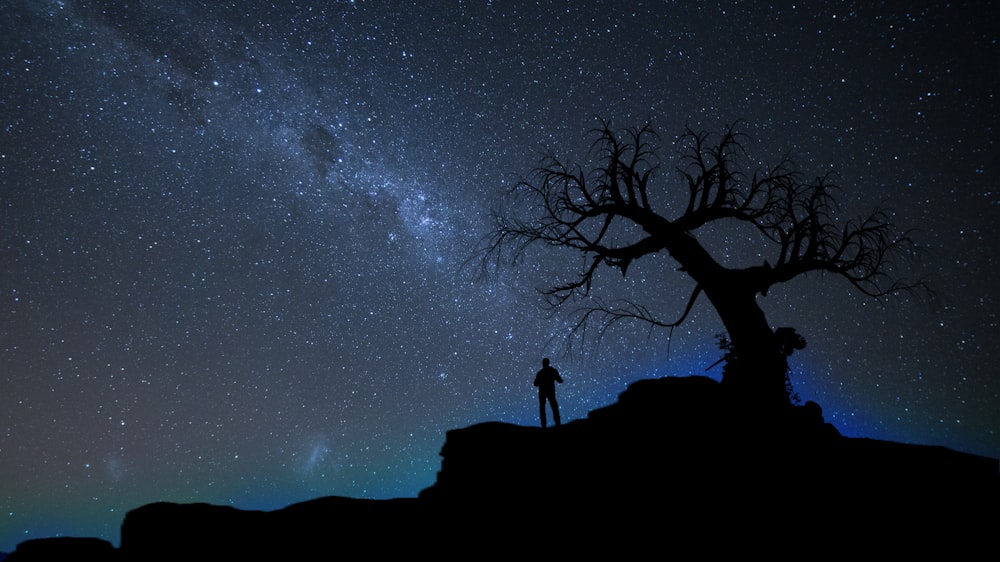 silhouette of person standing beside bare tree under stary sky