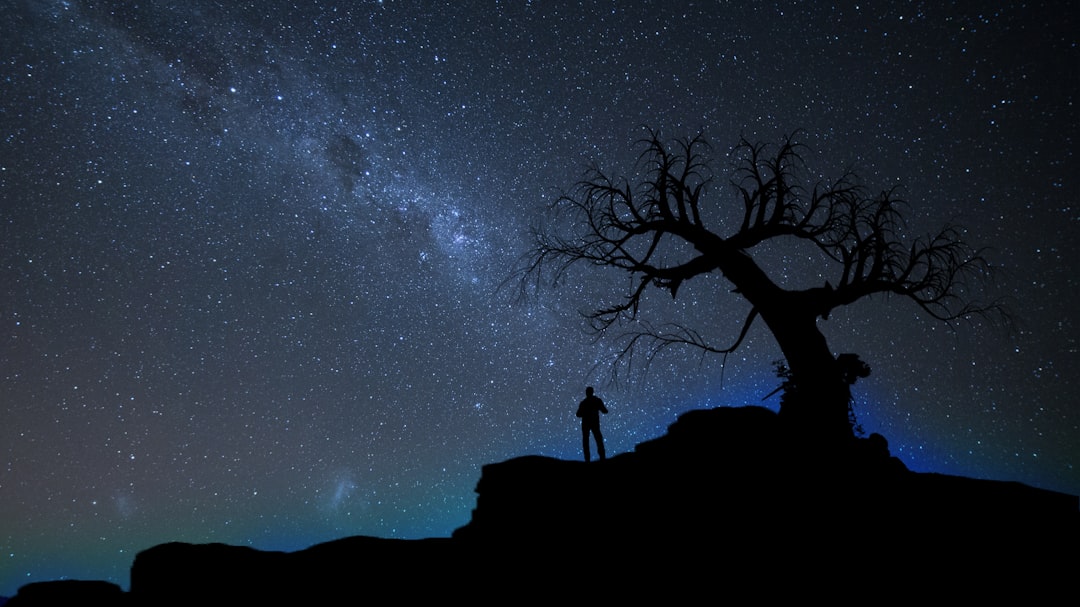 silhouette of person standing beside bare tree under stary sky,
