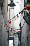 multicolored buntings on pathway