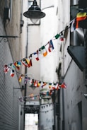 multicolored buntings on pathway