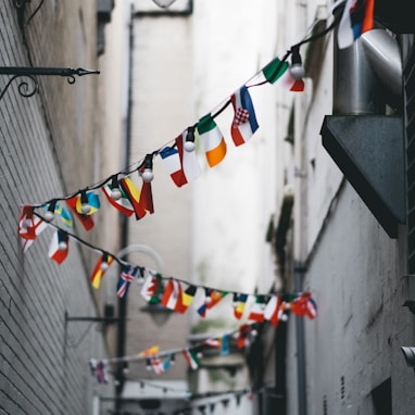 multicolored buntings on pathway