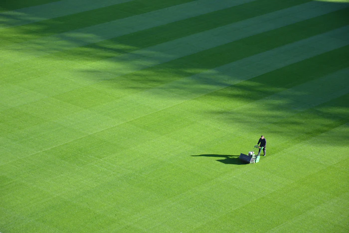 Office & Corporate Campus Landscaping in Bethesda, MD
