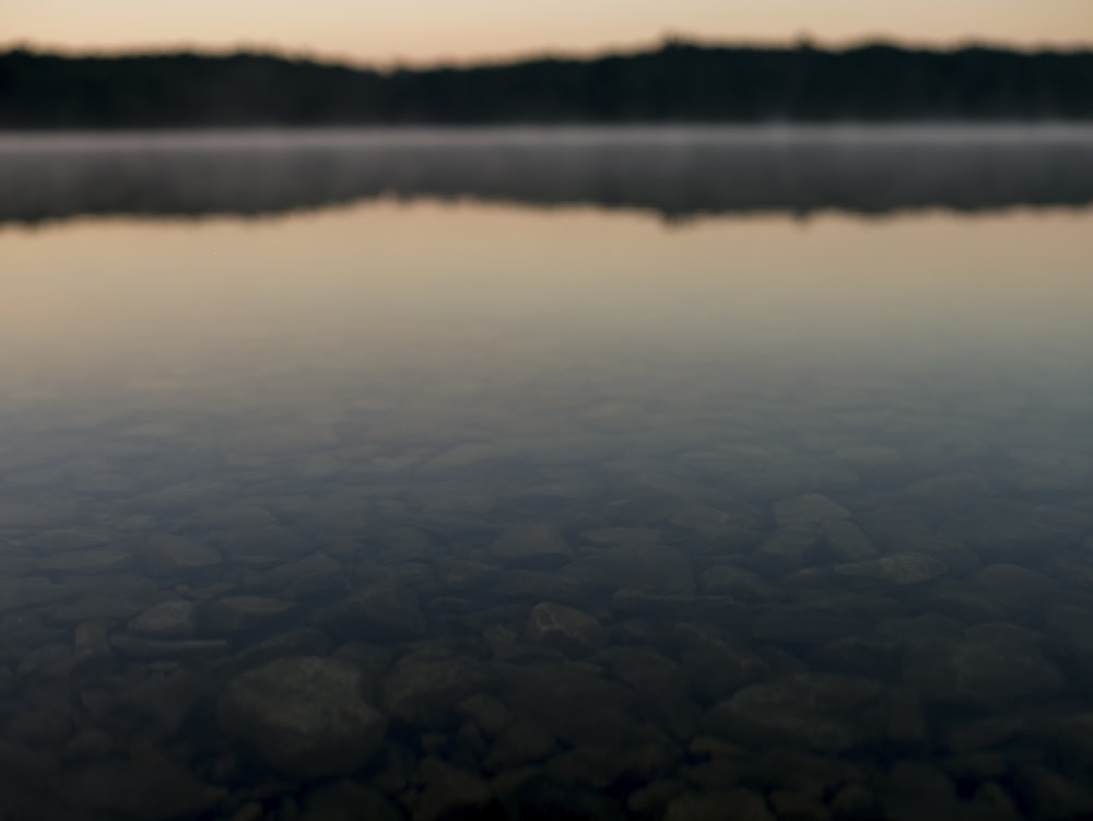 body of water with bokeh effect