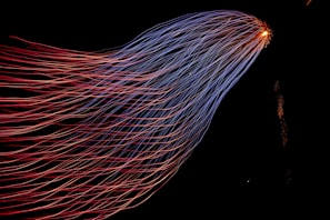 red and blue lights from tower steel wool photography