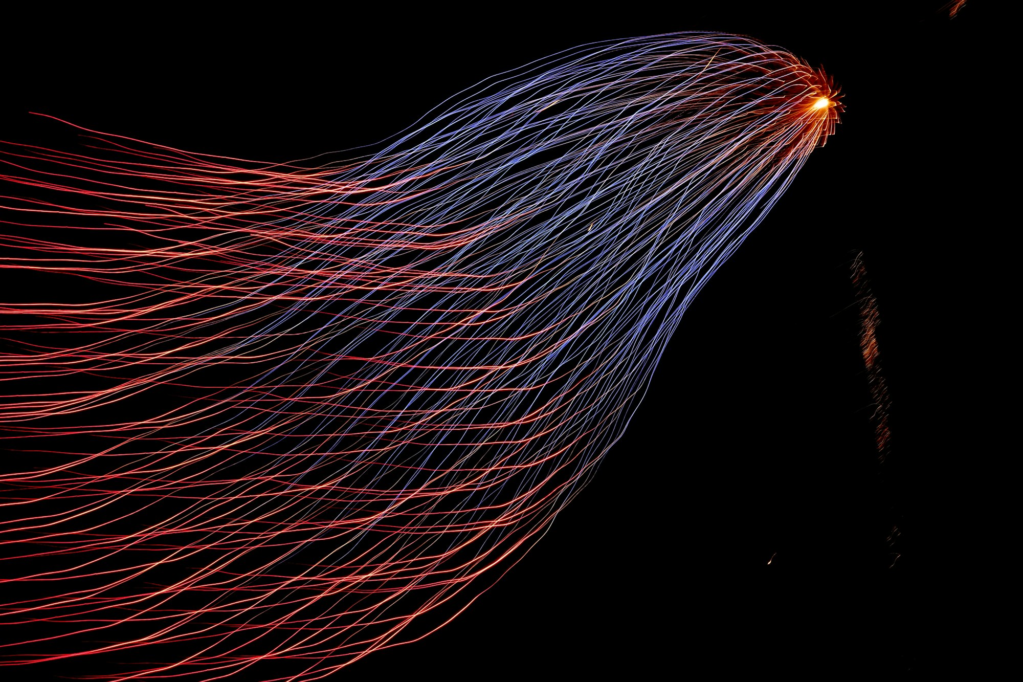 Having Fun Plotting Data Squirrels in R