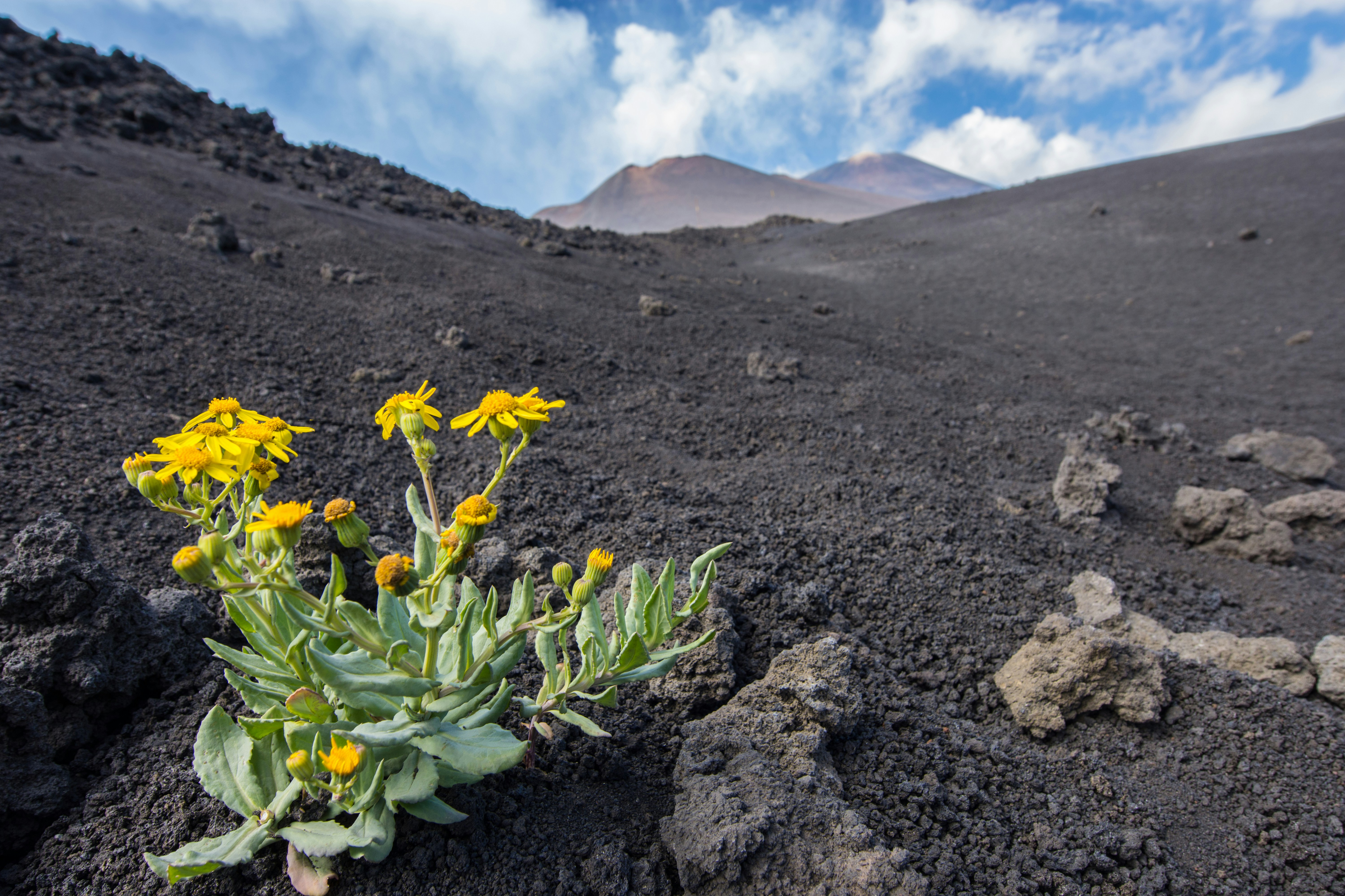 '.$row['PostTitle'].' header image