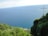 A panoramic view of a vast blue ocean horizon under a light blue sky bordered by lush green foliage in the foreground on a coastal cliff. A large white cross is situated on the right side of the image, slightly extending over the ocean.
