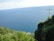 A panoramic view of a vast blue ocean horizon under a light blue sky bordered by lush green foliage in the foreground on a coastal cliff. A large white cross is situated on the right side of the image, slightly extending over the ocean.