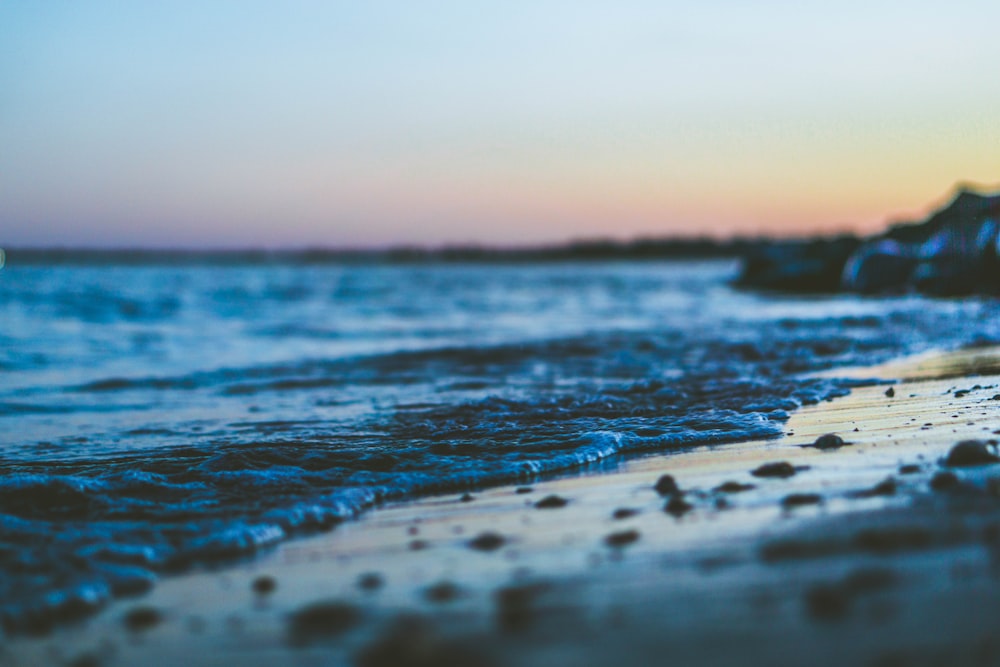 shallow focus photography of seashore