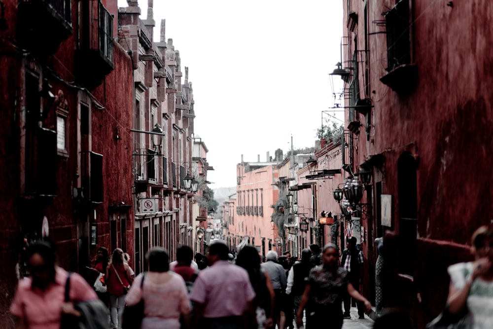 Personas que caminan por la calle durante el día