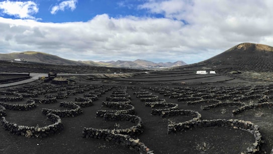 A scenic landscape featuring a series of volcanic hills under a cloudy sky. The foreground consists of unique stone-bordered circular patterns likely used for agriculture. In the distance, small white buildings contrast against the dark volcanic terrain.