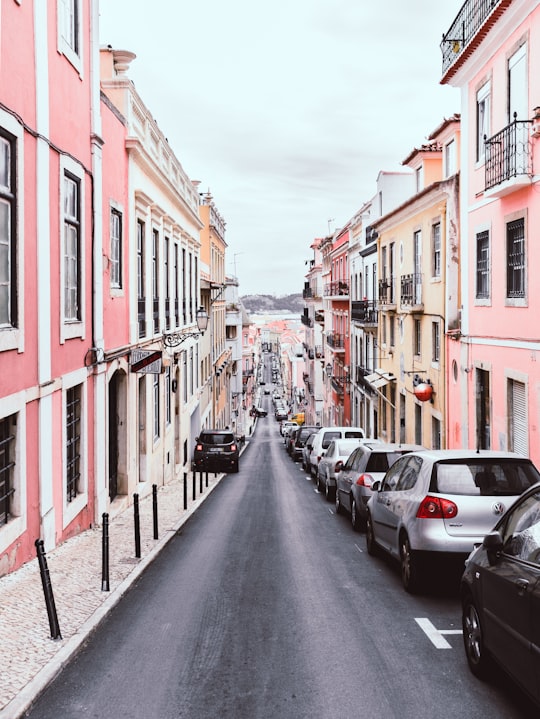 line of vehicles on the right side of a 2-way road in the middle of pink and yellow buildings during day in Jardim Botânico da Universidade de Lisboa Portugal